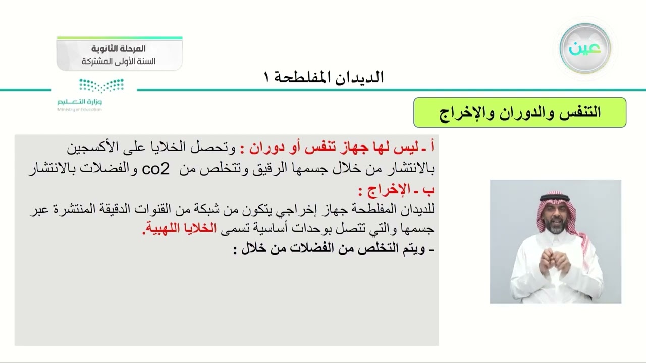 الديديان المفلطحة 1 - أحياء (1) - السنة الأولى المشتركة