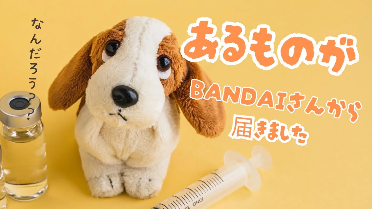 あるものがBANDAIさんから届きました