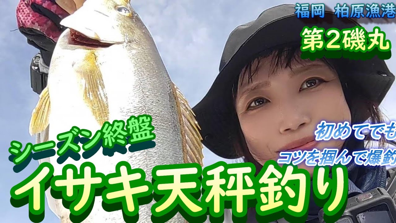 イサキ天秤釣り　初めてでもコツを掴んでクーラー満タン