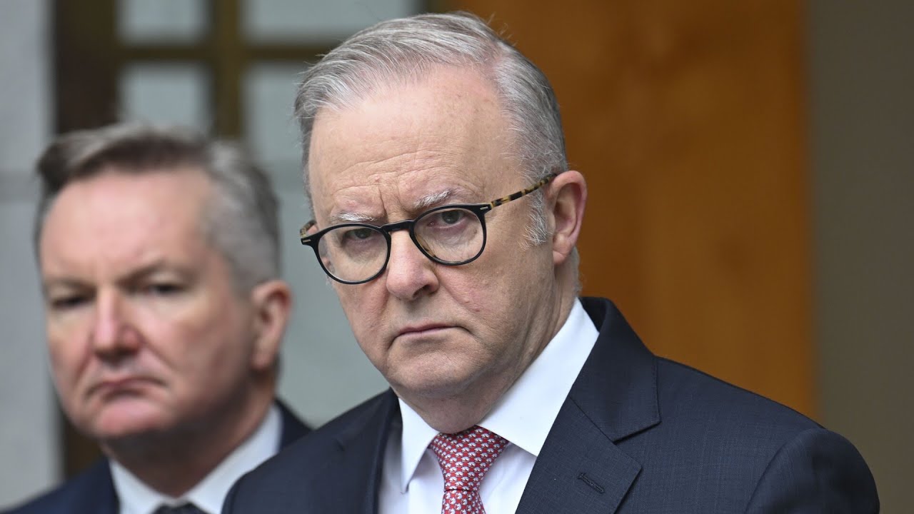 ‘Better get this sorted quick’: Albanese must show some ‘urgency’ on food and fuel supply