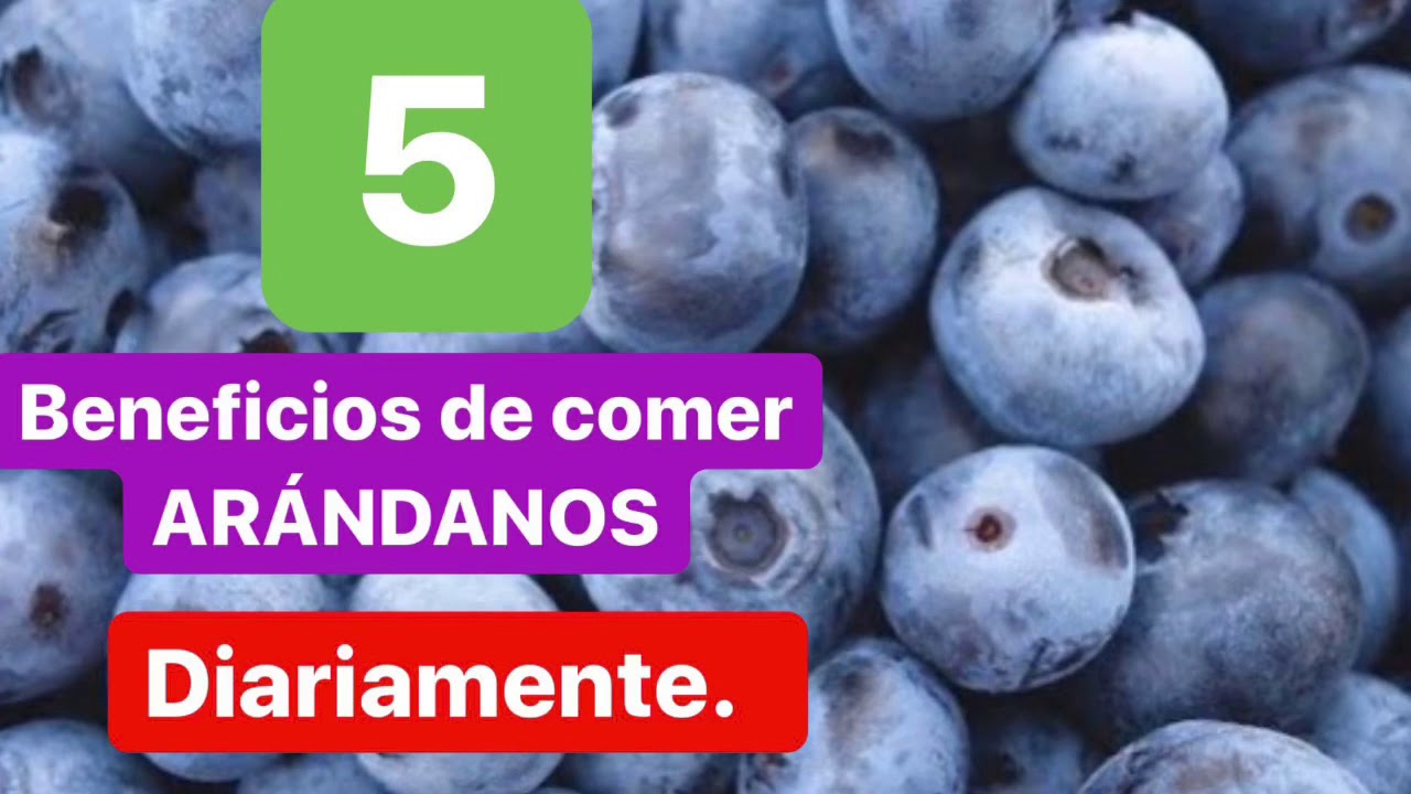 5 beneficios de comer ar&aacute;ndano diariamente.