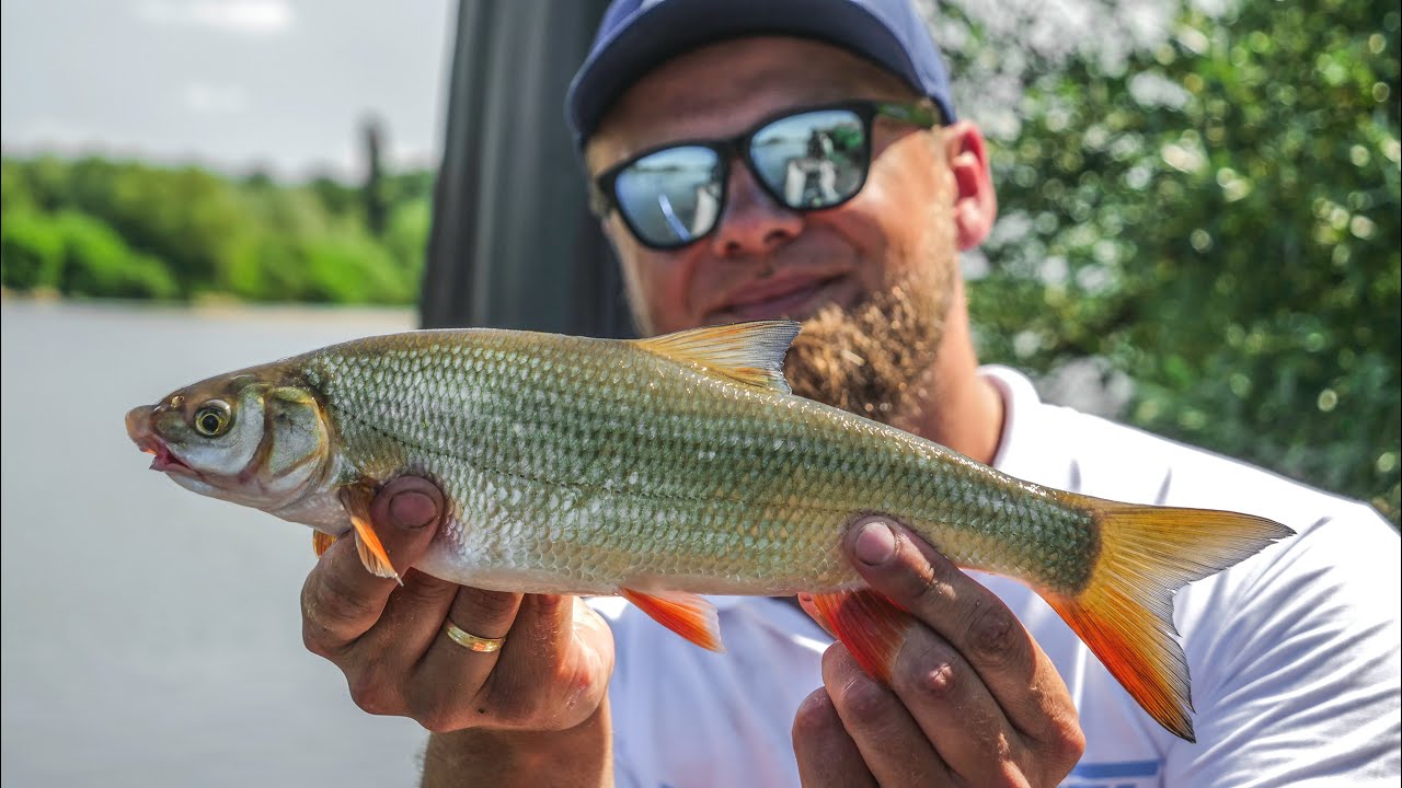ABC rzecznego feedera