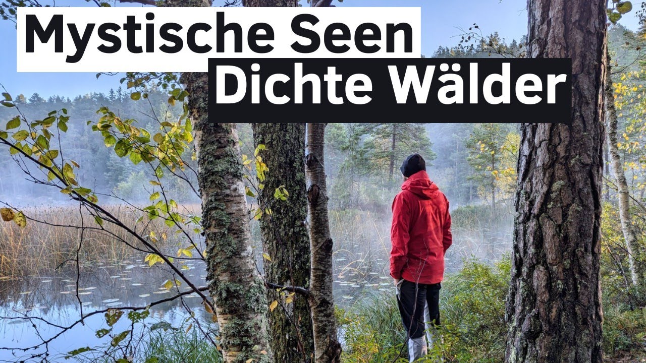 Sörmlandsleden 1 | Trekking durch Südschweden im Herbst
