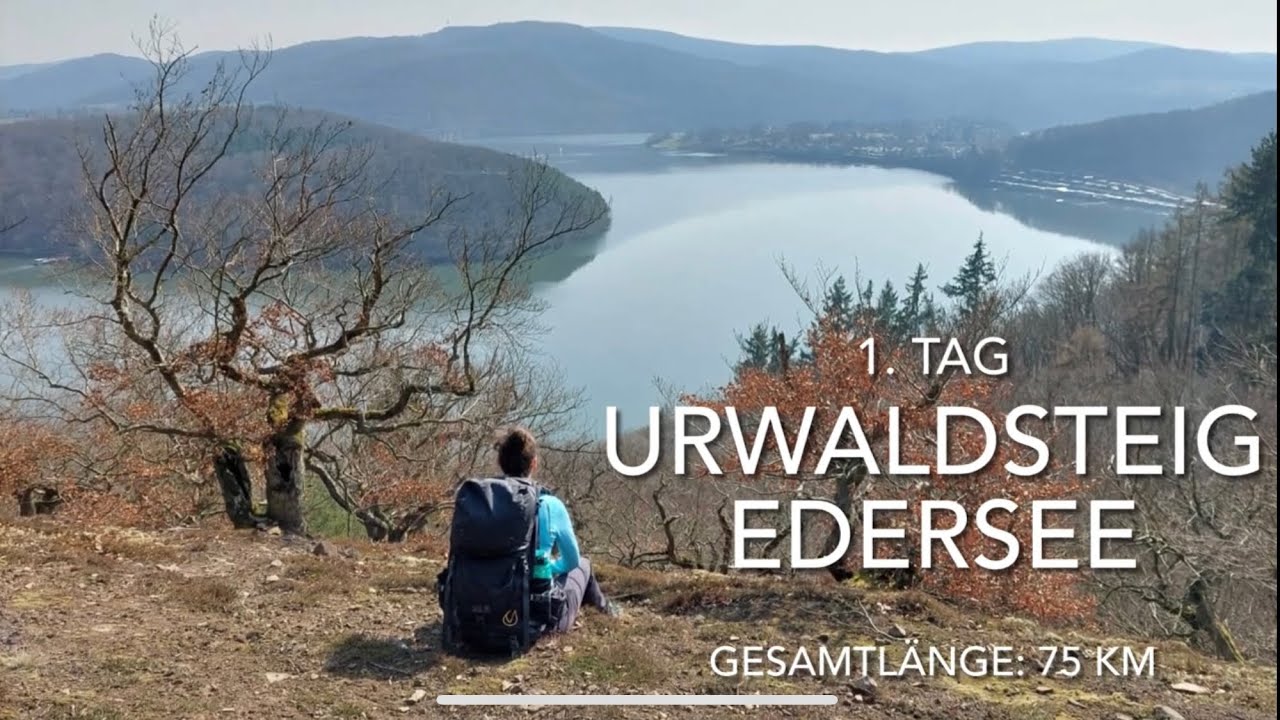 Urwaldsteig Wanderung Edersee