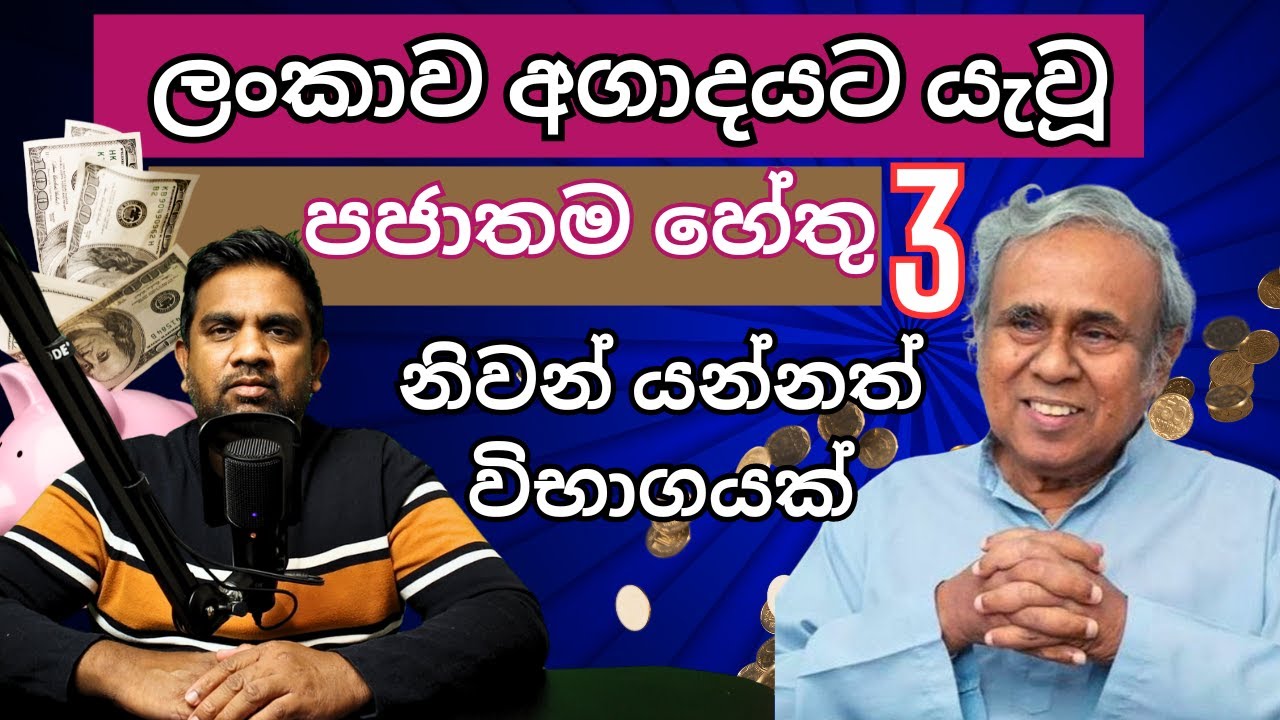 ලංකාව අගාදයට යැවූ පජාතම හේතු 3 |Professor Nalin de Silva