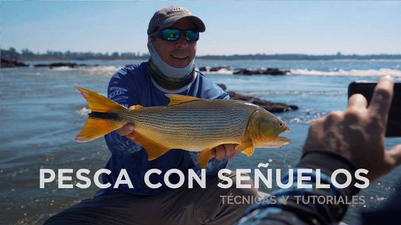 Técnicas y Tutoriales. especial Dorados con señuelos en Saltó Chico, Concordia