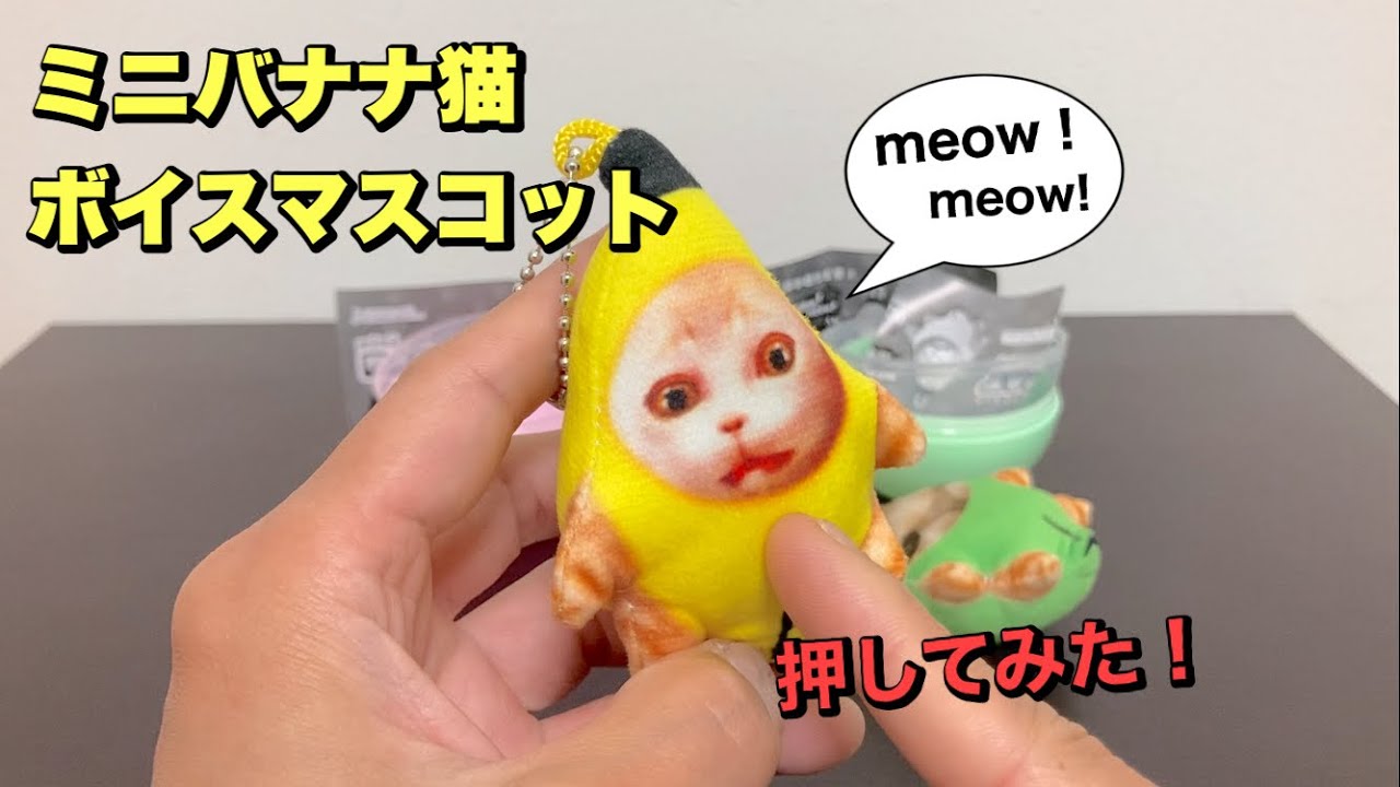 あの声が鳴る⁉︎【ガチャガチャ】ミニバナナ猫ボイスマスコット開封！mini BANANA CAT voice mascot