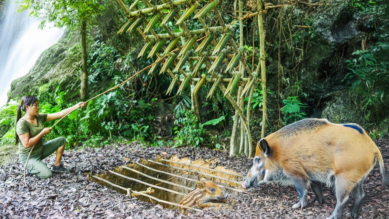 Giant Wild Boar Trap - The Power to Survive Spectacularly - Multi-day Survival Trip