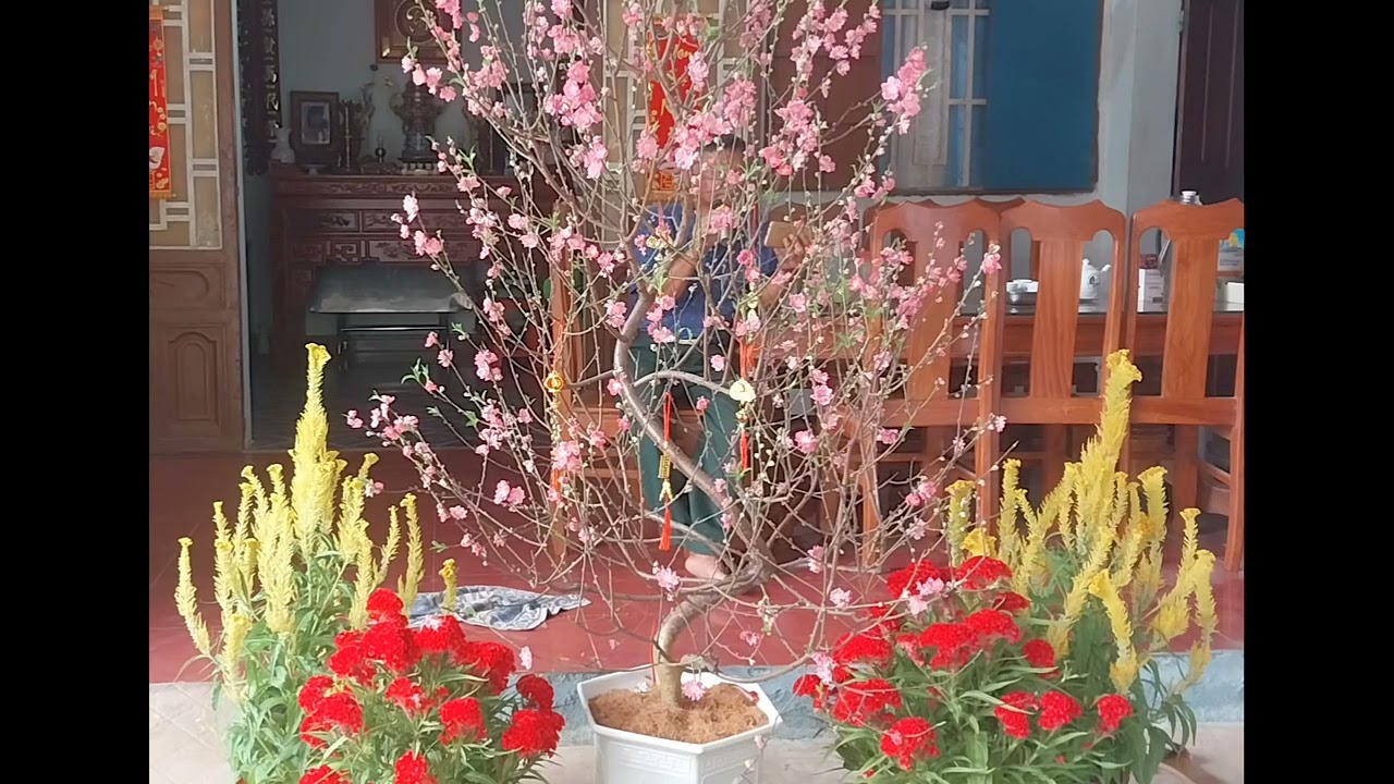 Đêm giao thừa nghe một khúc dân ca ...