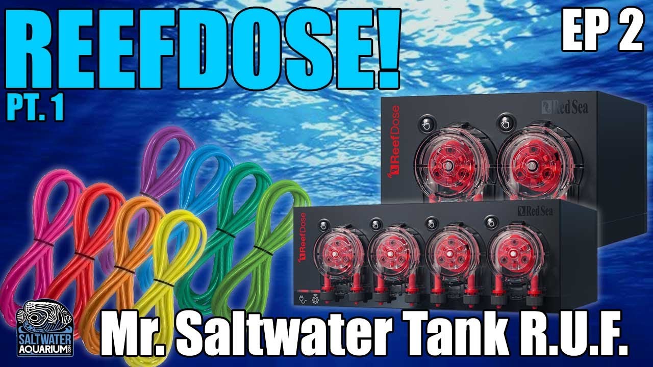 FIRST LOOK!  ReefDose 2 & ReefDose 4 Dosing Pumps for Saltwater Tanks - Mr Saltwater Tank - R.U.F.
