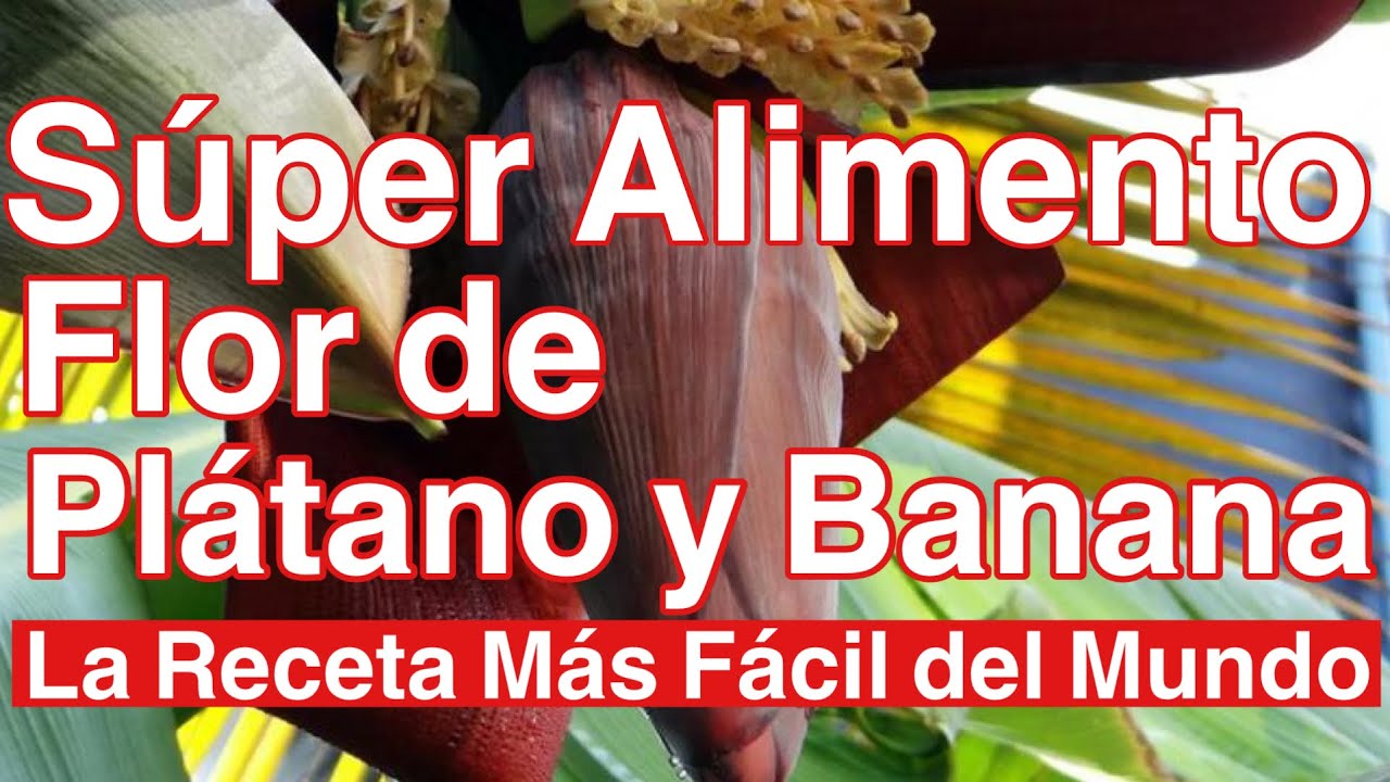 Cómo Cocinar la Flor del Plátano