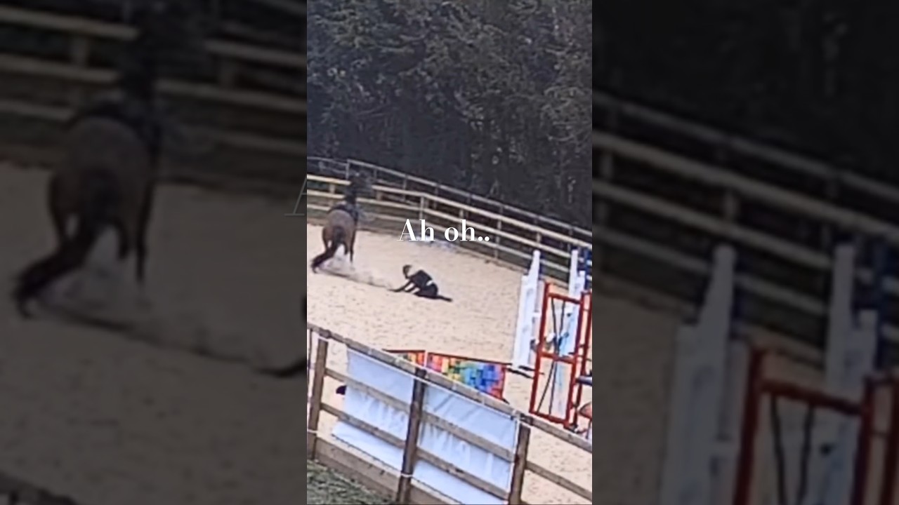 Harlow's terrible fall #horse #equestrian #sad @HarlowLunaWhite #harlow #harlowandpopcorn