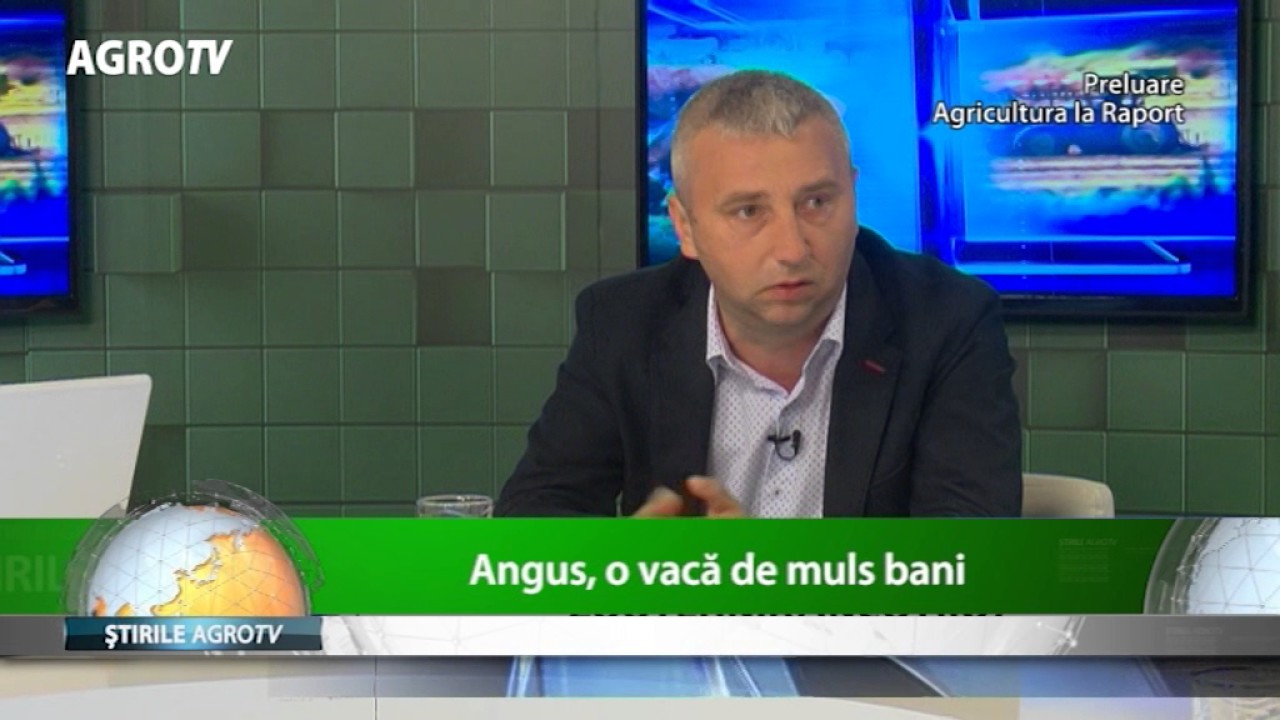 Care este cea mai profitabila afacere cu vaci
