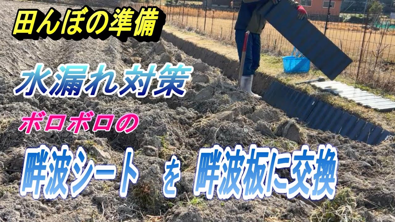 【田んぼ・畔波シ－トを畔波板に交換】目的と設置で注意した事。費用対効果はどうなの・・・。