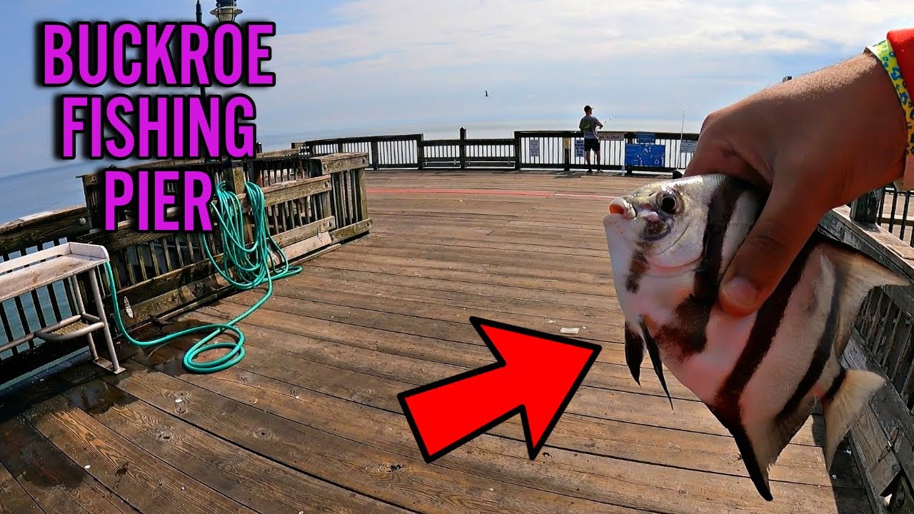 BUCKROE FISHING PIER HAMPTON VA! Catching Multiple Species at BUCKROE SALTWATER FISHING! SPADEFISH!