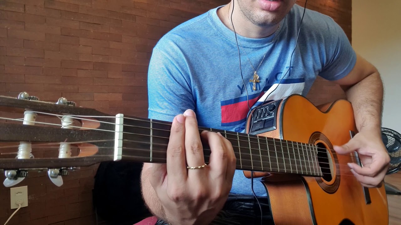 Deixa a vida me levar - Zeca Pagodinho violão