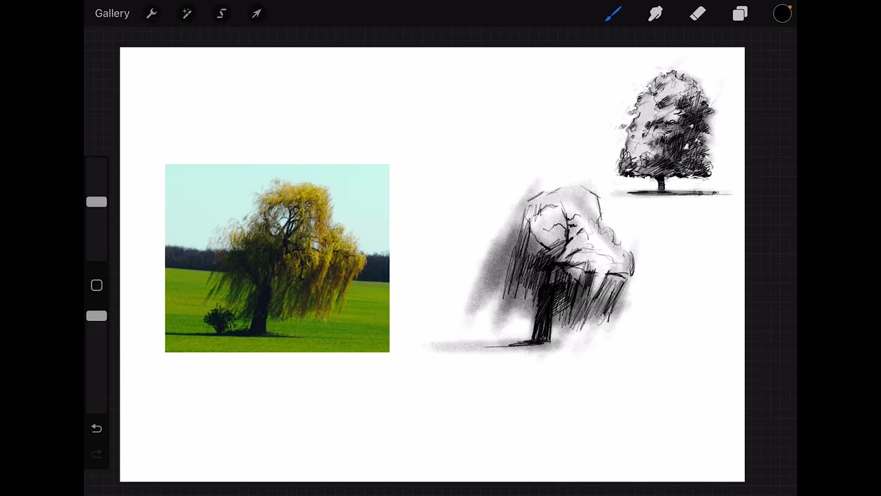 Studying Tree Forms and Gestures Using an iPad