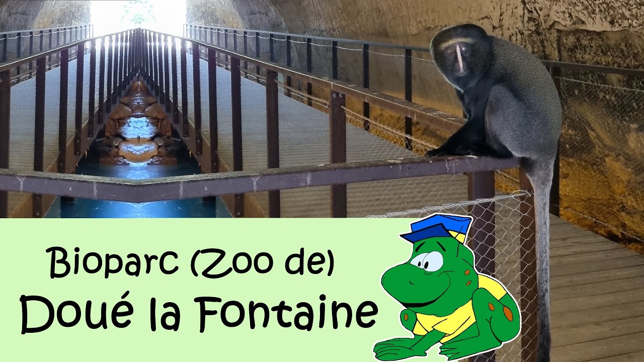 Bioparc, Zoo de Doué la Fontaine, zomer 2025
