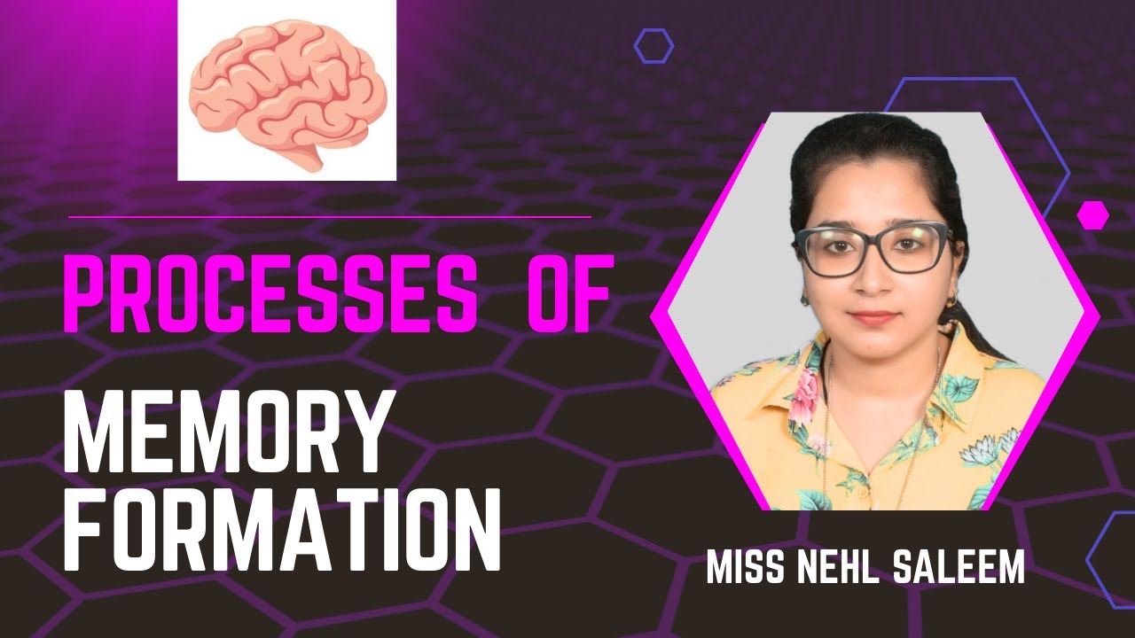 PROCESS OF  MEMORY FORMATION