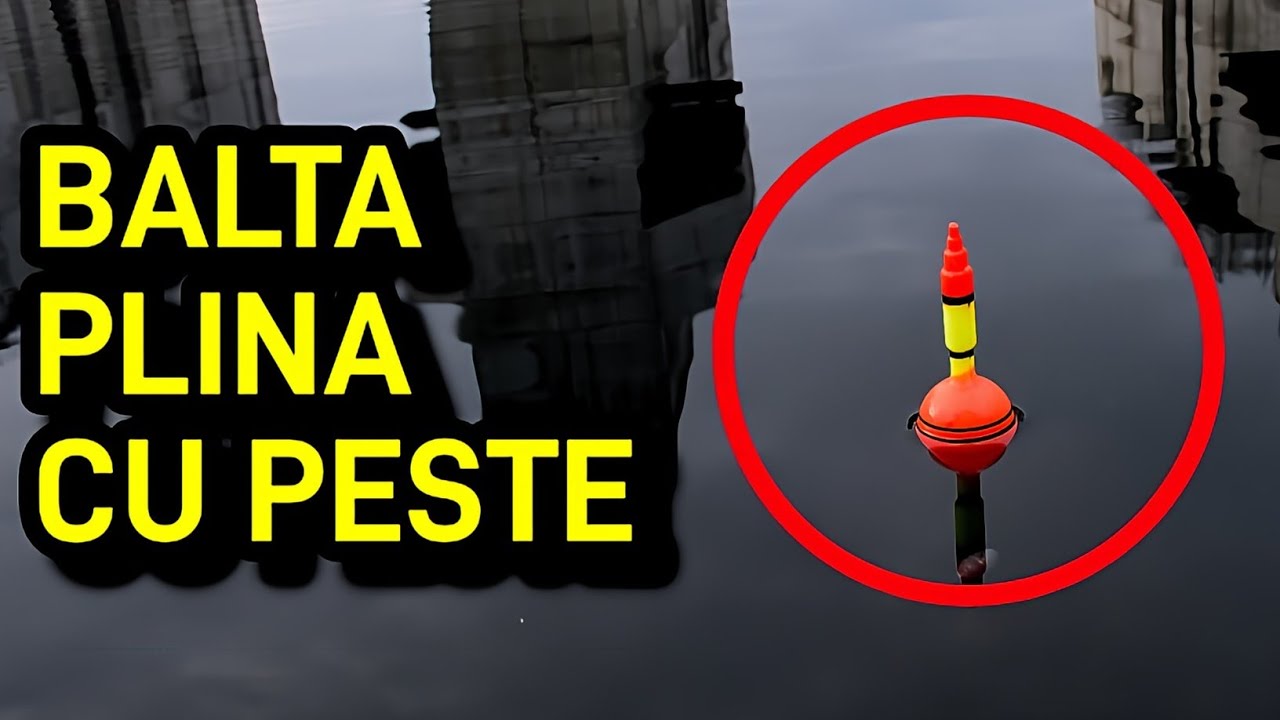 AM GASIT O BALTA SALBATICA PLINA DE SURPRIZE IN DECEMBRIE 2023 PE UN BARAJ PARASIT | Ep. 1