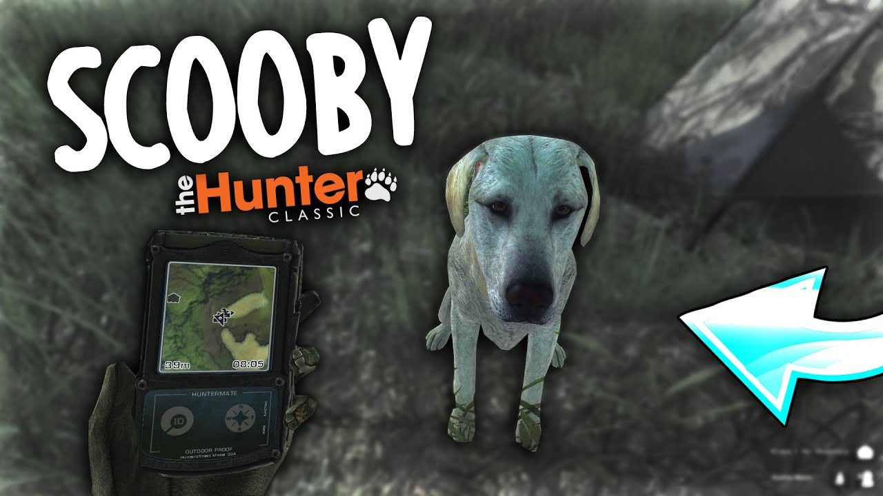KUPIO SAM RETRIVERA! | theHunter Classic | Magpie Goose V2