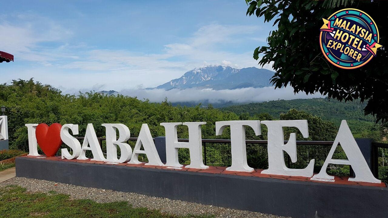 Sabah Tea Resort | Kinabalu National Park, Malaysia | Hotel Review ⭐
