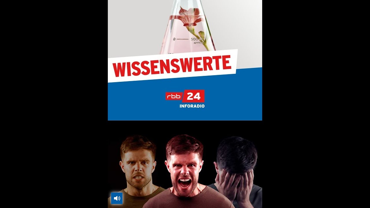 Kritische Männerforschung: „Detox Masculinity“ | rbb24 Inforadio Wissenswerte