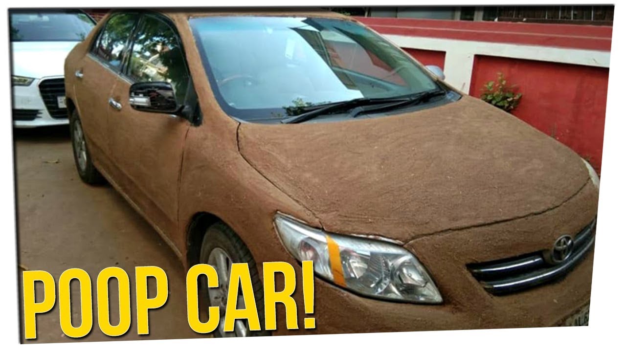 Woman Covers Her Car in POOP to Protect It? (ft. Ryanimay)