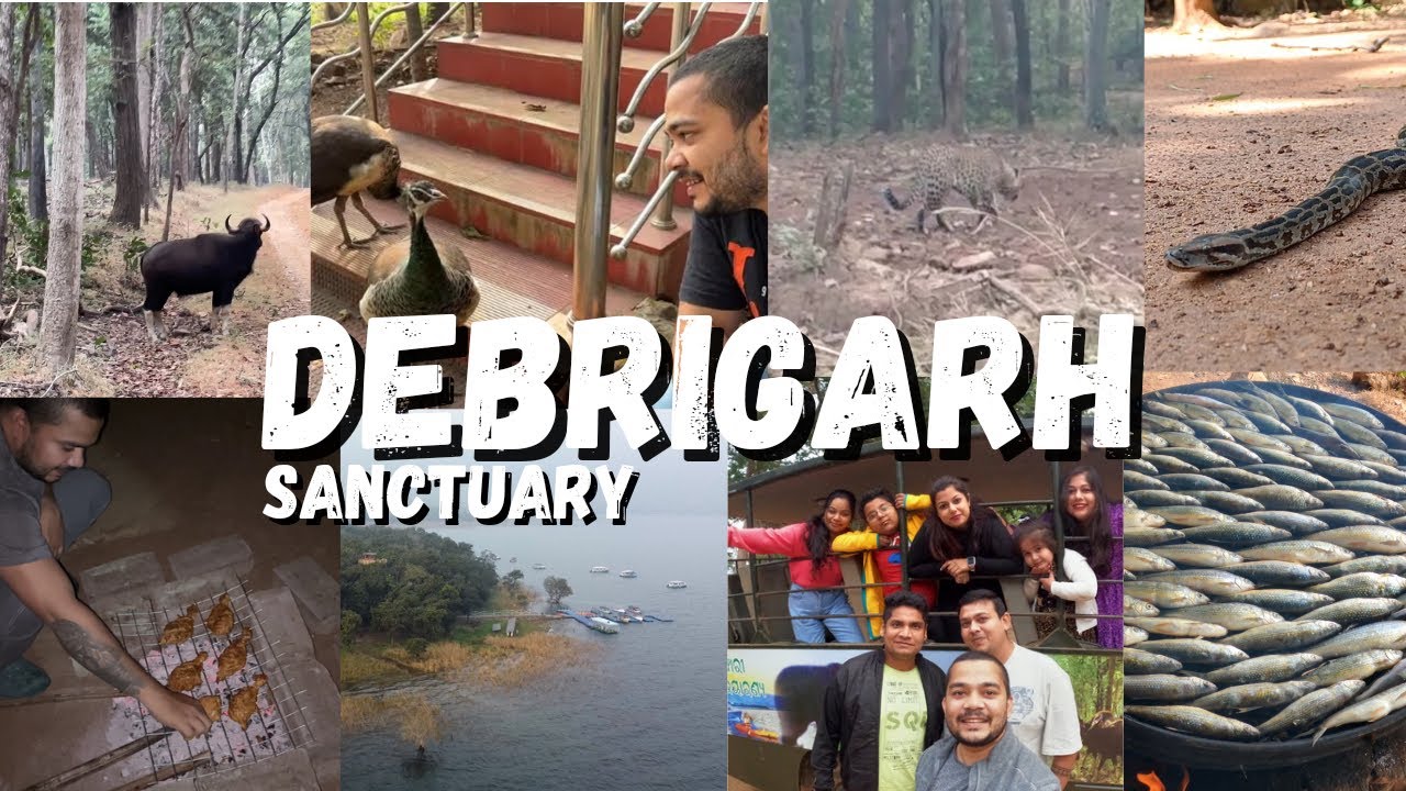 DEBRIGARH WILDLIFE SANCTUARY || DEBRIGARH NATURE CAMP || JUNGLE SAFARI ||  ODISHA