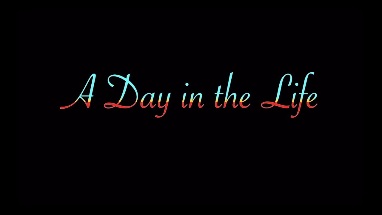 A Day in the Life