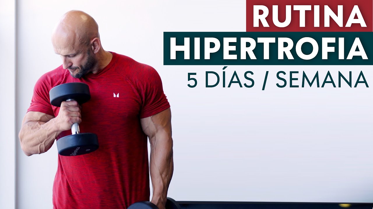 Rutina de 5 D&iacute;as en el GIMNASIO para GANAR M&Uacute;SCULO