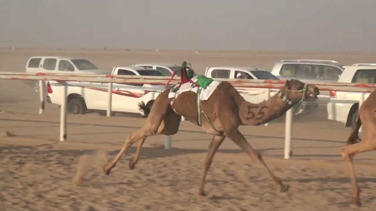 الغرنجي ل بخيت بن مسلم المهري