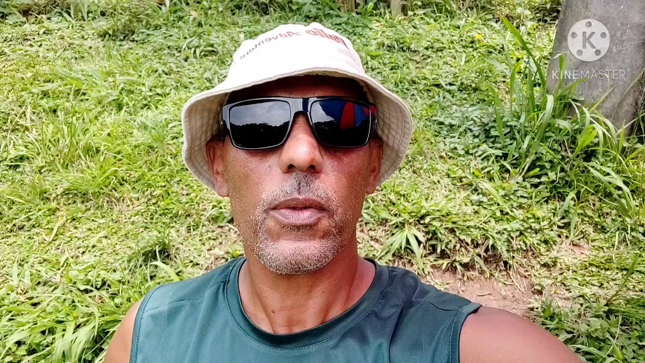 ((((Como fisgar um peixe))))