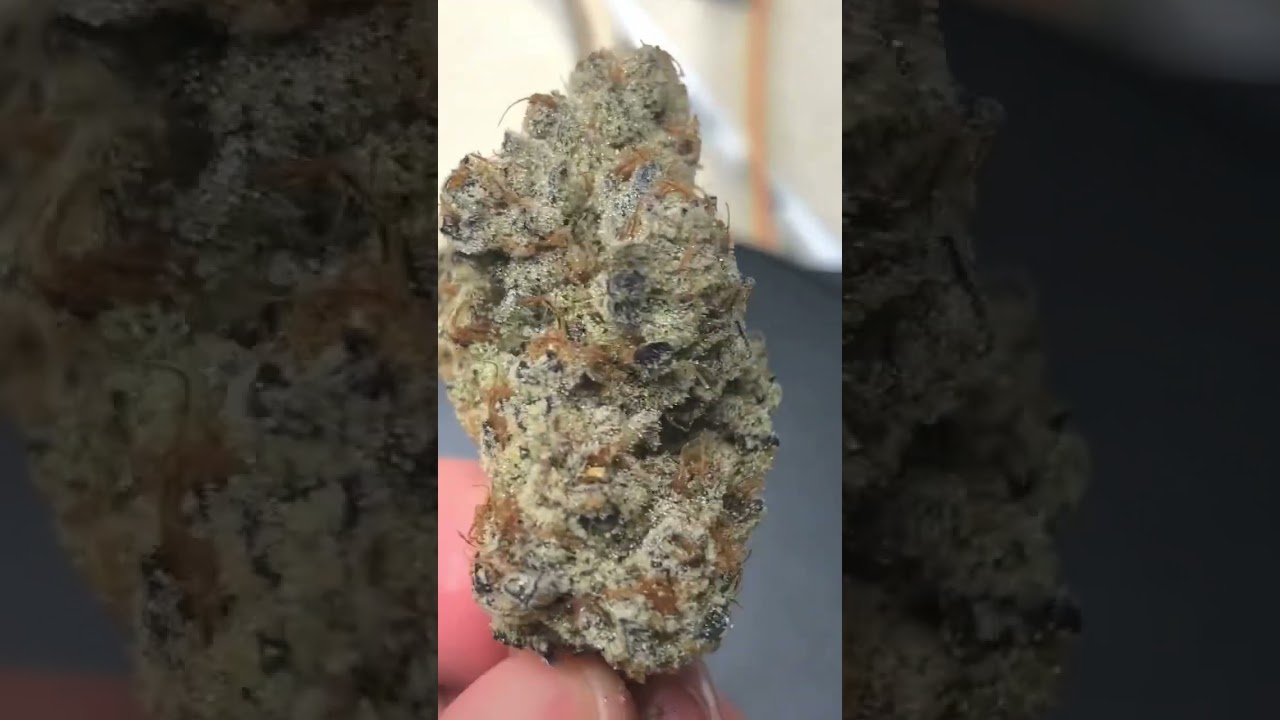 Platinum Kush Breath In-house genetics