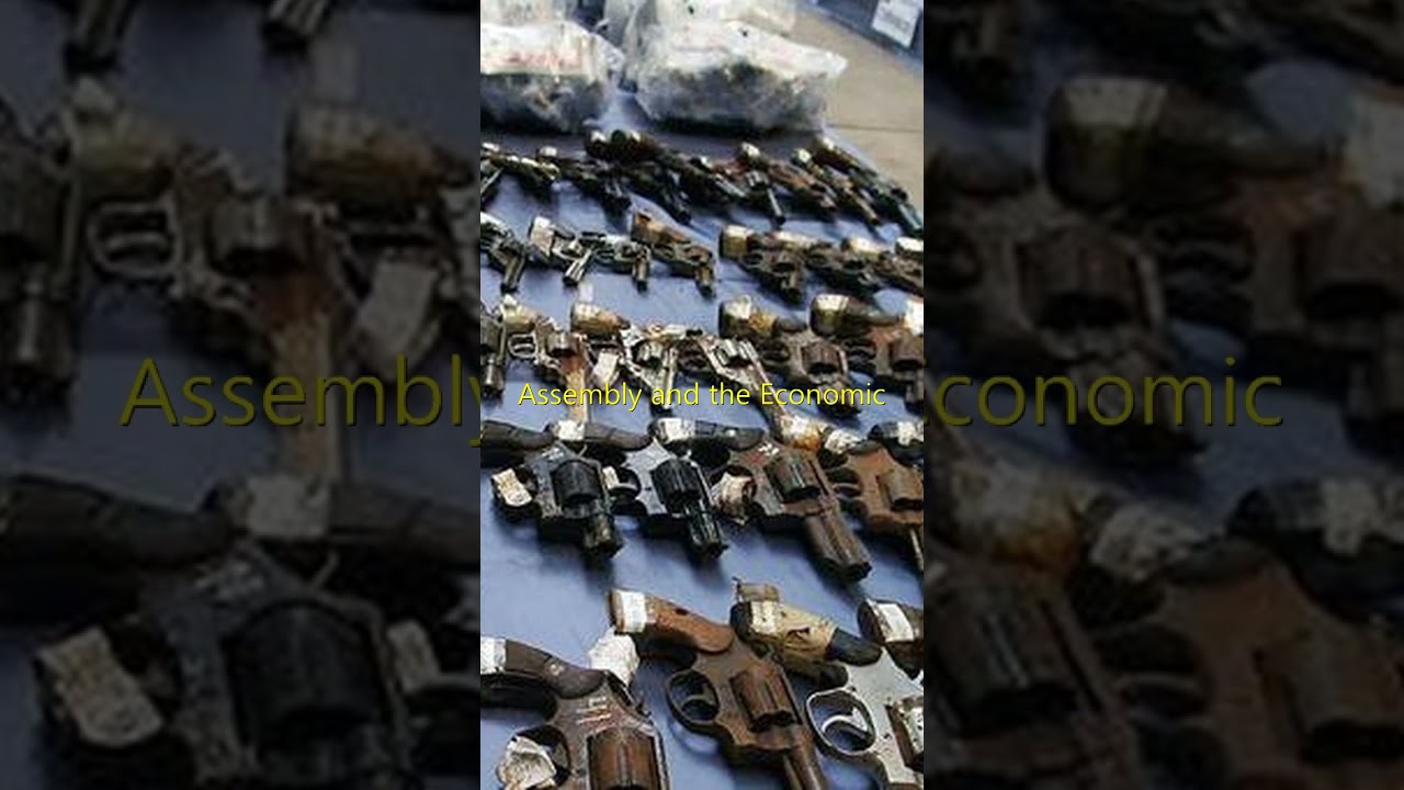 Joint UN meeting tackles small arms control to foster sustainable development