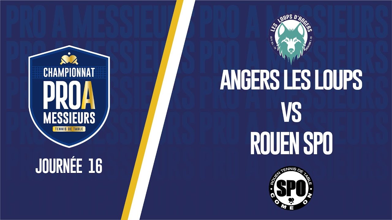PRO A MESSIEURS | J16 | ANGERS LES LOUPS vs ROUEN SPO