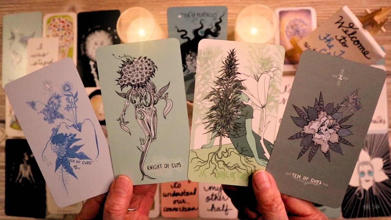 LOVE TAROT- THIS GOES WAY BEYOND AN APOLOGY!!! 😲❤️