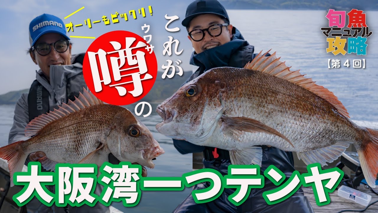 【一つテンヤ真鯛】爆釣実釣＆解説｜折本隆由×角井良隆【旬魚攻略マニュアル④】