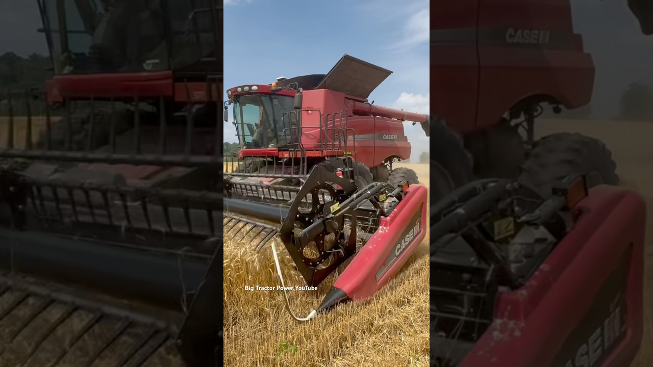CASE IH 7120 Axial-Flow Combine 