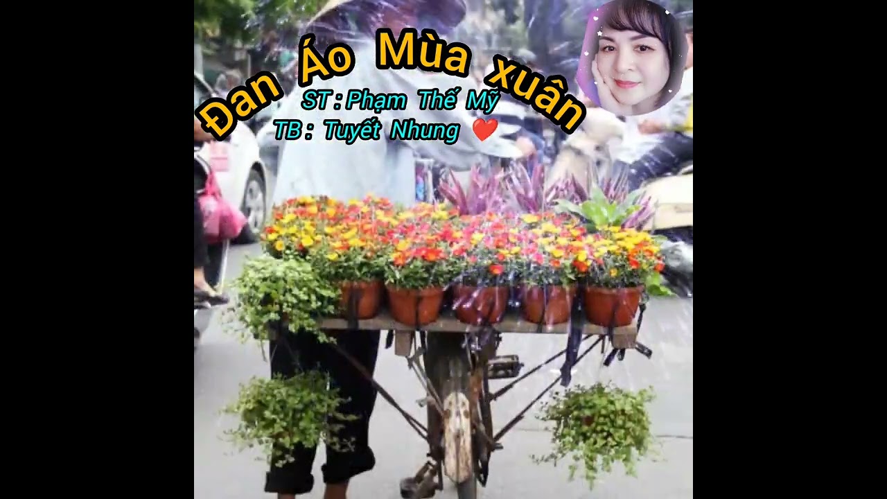 Đan Áo Mùa xuân // ST : Phạm Thế Mỹ //Tuyết Nhung  Cover ❤️