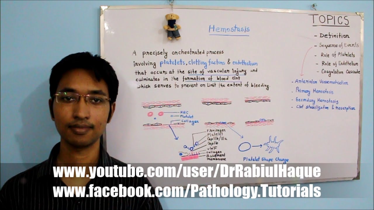 Hemostasis (HD)