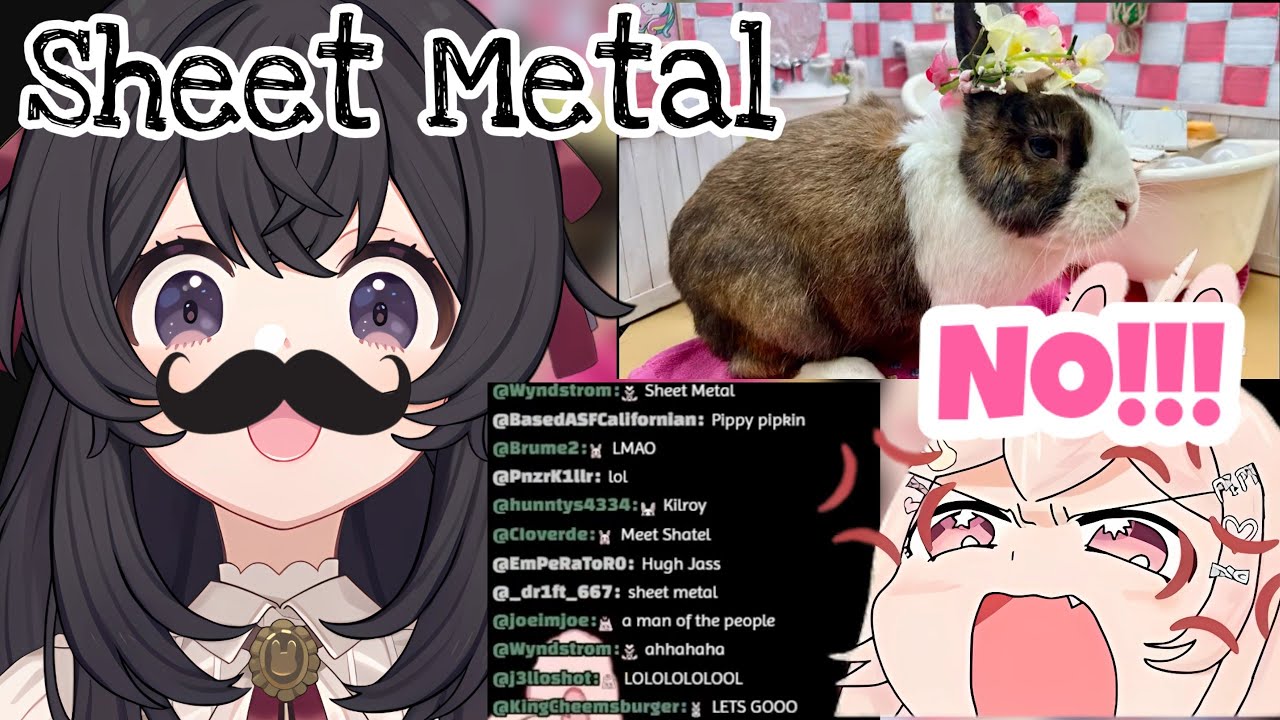 ПКМ и Папакин пытаются убедить Пиппу назвать своего кролика Шит Металл