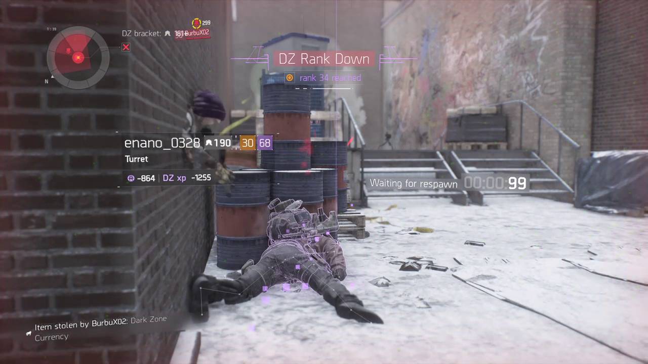 Dark Zone Police
