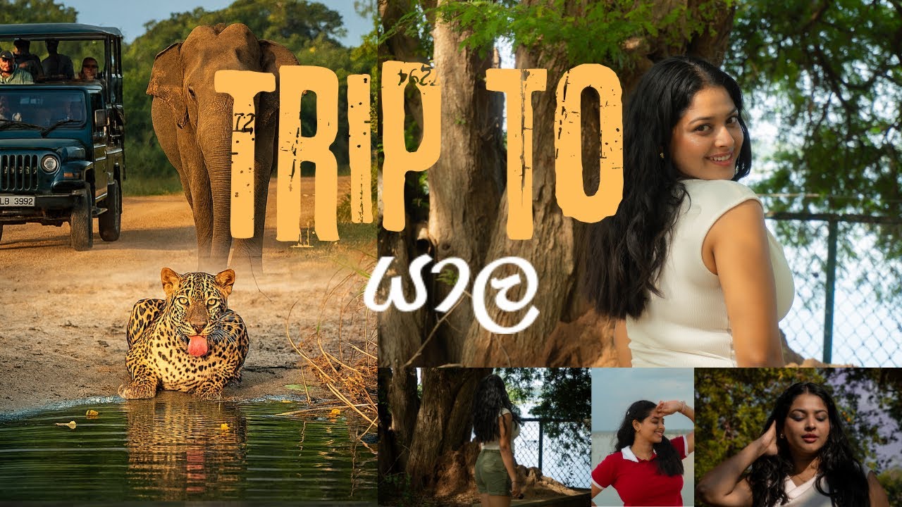SUDDEN TRIP එකක් | අන්තිමටම දැක්ක Leopard | එක දවසට MEMORIES ගොඩාක් |සිංහල VLOG