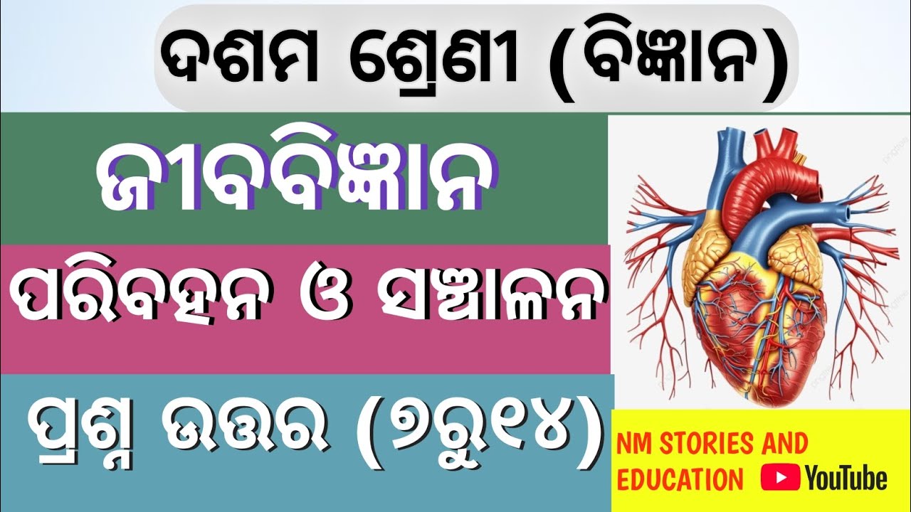 10th class science jibabigyan paribahan and sanchalan|ଦଶମ ଶ୍ରେଣୀ ଜୀବ ବିଜ୍ଞାନ ପରିବହନ ଓ ସଞ୍ଚାଳନ #odia 