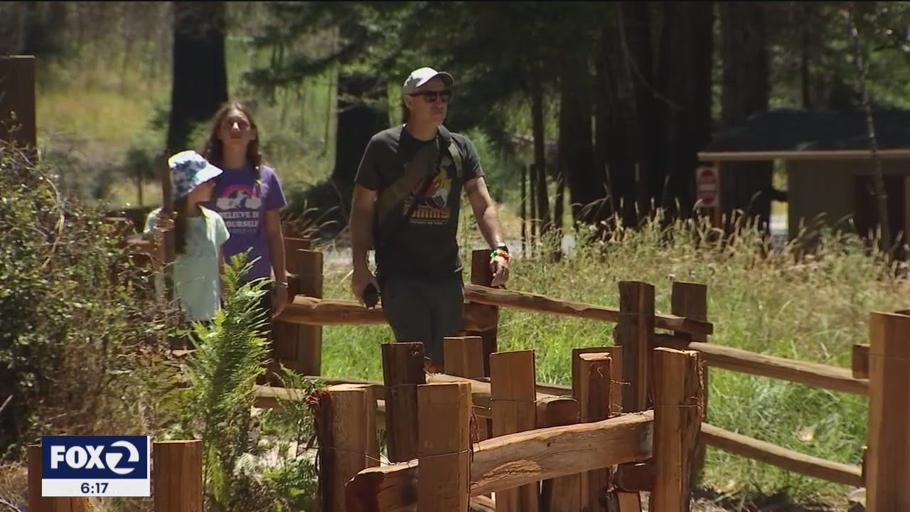 Big Basin Redwoods State Park bounces back from CZU fire