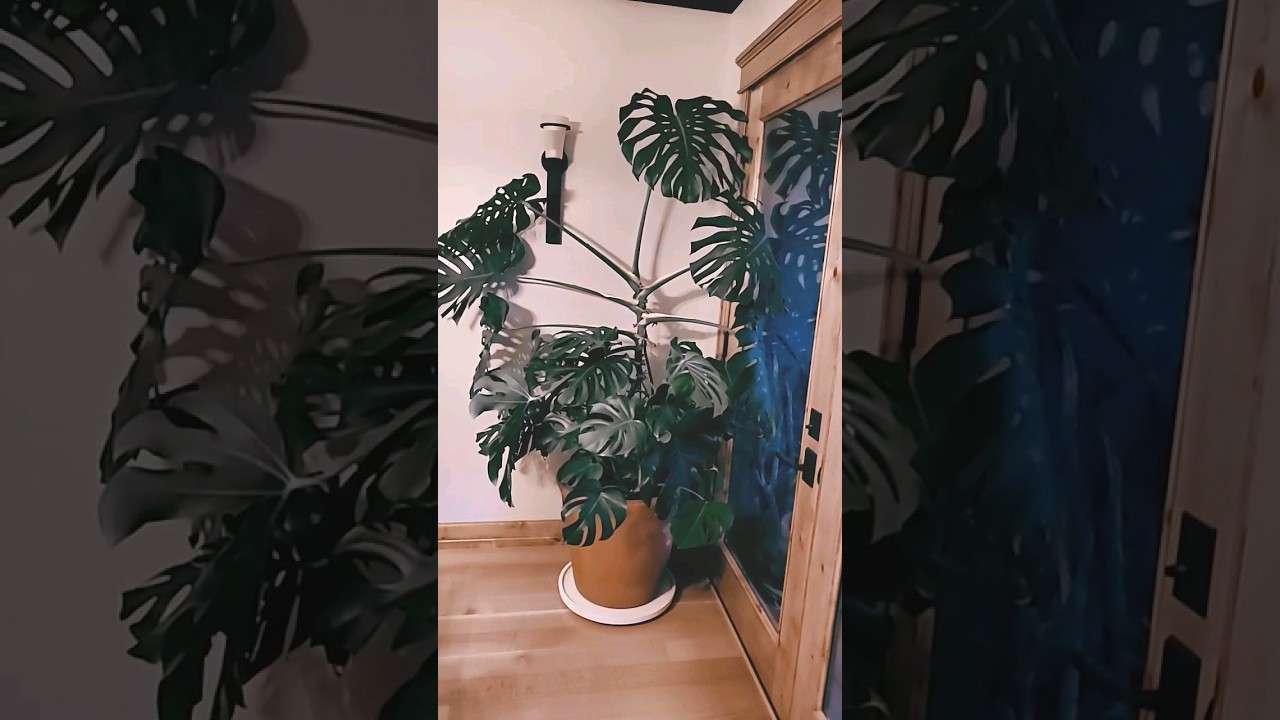 Giant Pot With custom rebar support 