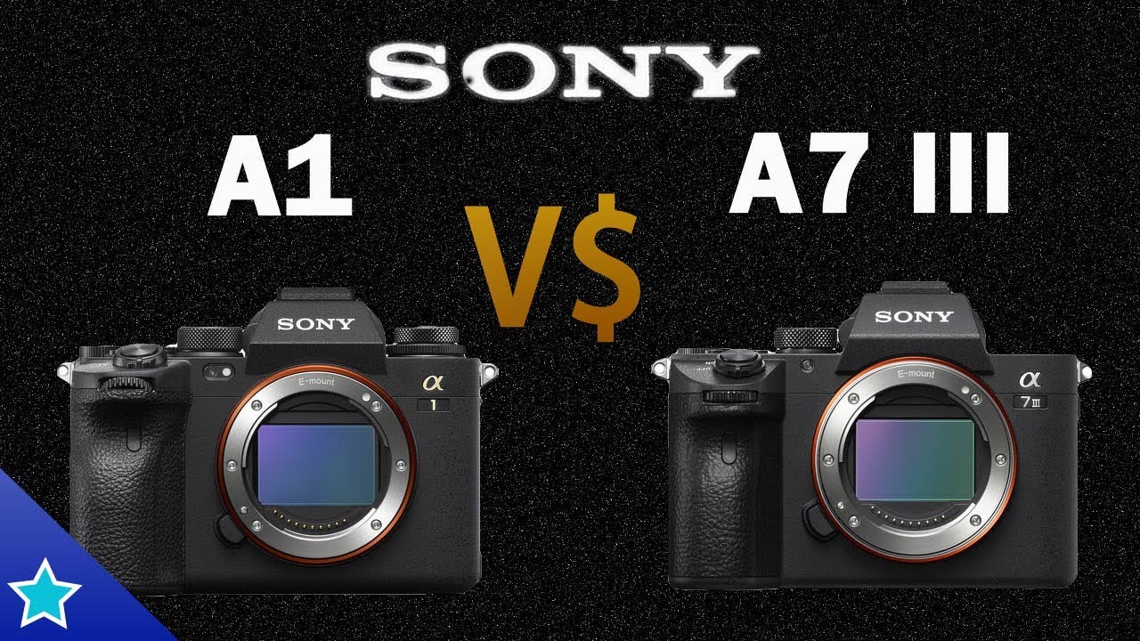 Sony a1 vs Sony a7 III