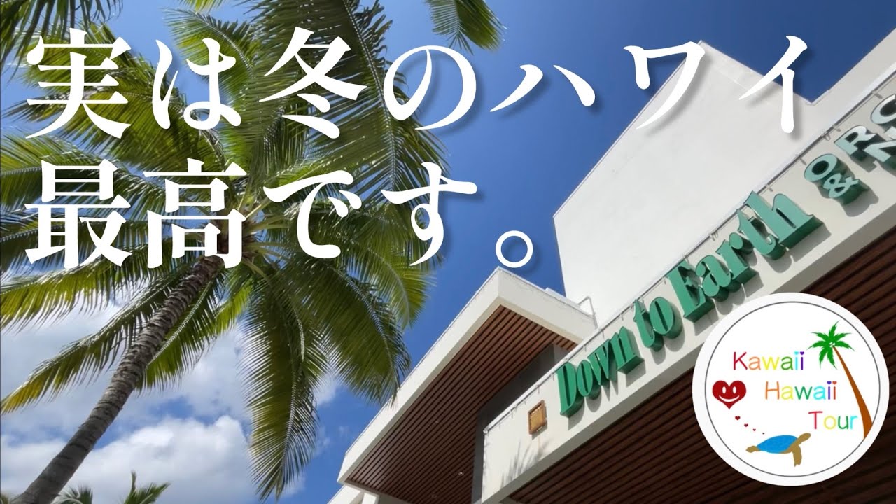 【知らないと損】冬のハワイが最高すぎた☀️カイルア＆ノースショア完全ガイド・プライベートどこでもツアー