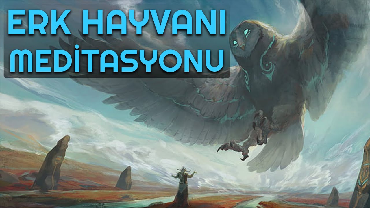 Erk Hayvanınızla İletişime Geçin (Erk Hayvanı Meditasyonu)